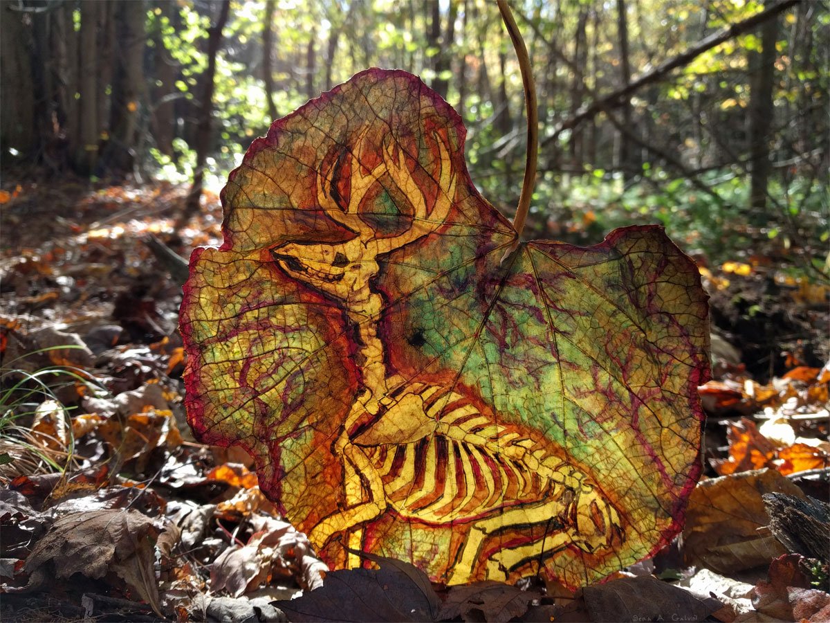 A skeletal deer or stag lying down drawn on a mottled green and brown leaf, resting on a leafy forest floor, by Sera Autumn