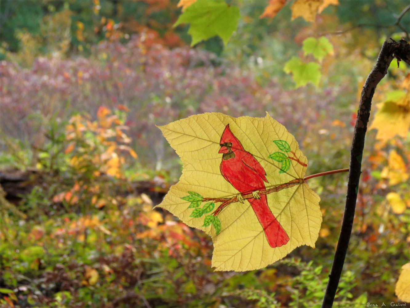 A red cardinal perched on a leafy branch drawn on a pale yellow leaf, against a soft autumn thicket, by Sera Autumn