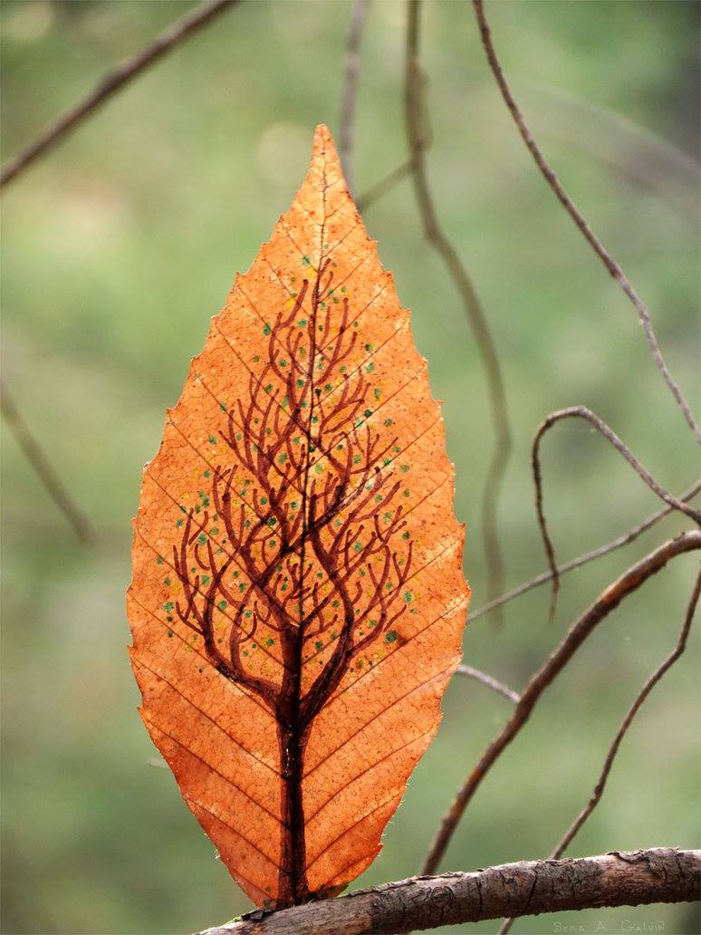 A bare, leafless tree drawn along the veins of a brown beech leaf, dotted with green buds, against soft green forest bokeh, by Sera Autumn