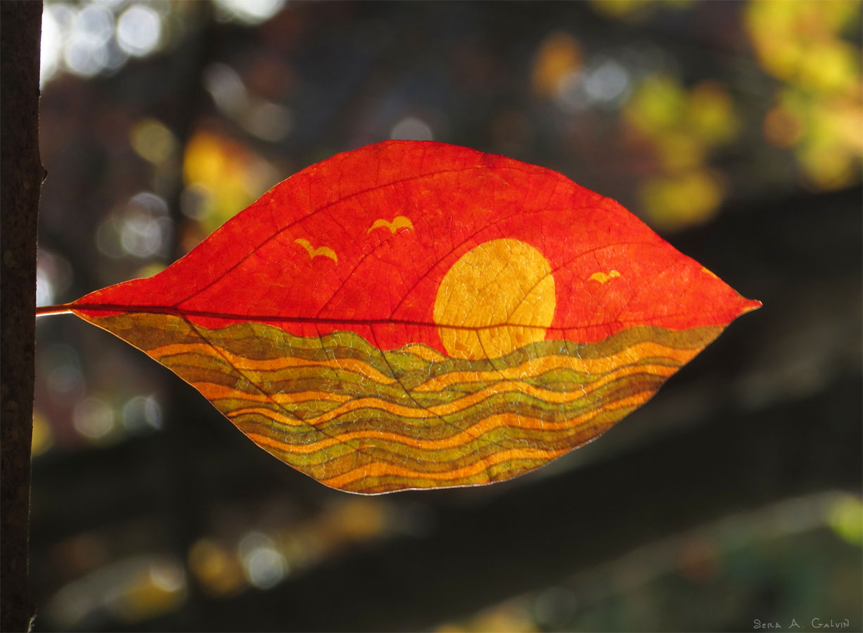 A glowing sunset scene with golden sun, gulls, and wavy sea drawn on a red-and-amber leaf, backlit against dark bokeh, by Sera Autumn