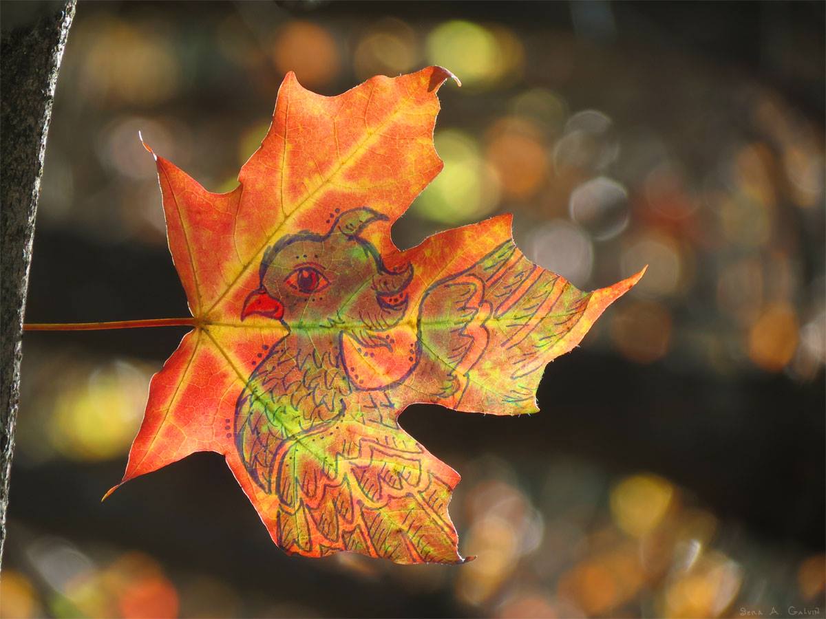 A plumed bird, phoenix-like, drawn in ink on a backlit orange maple leaf glowing against golden forest bokeh, by Sera Autumn