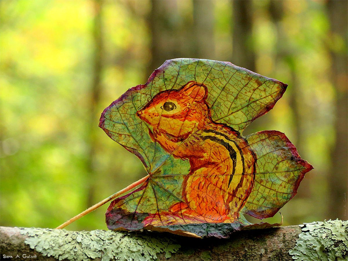 A striped chipmunk drawn on a mottled green and purple leaf resting on a lichen-covered branch, by Sera Autumn