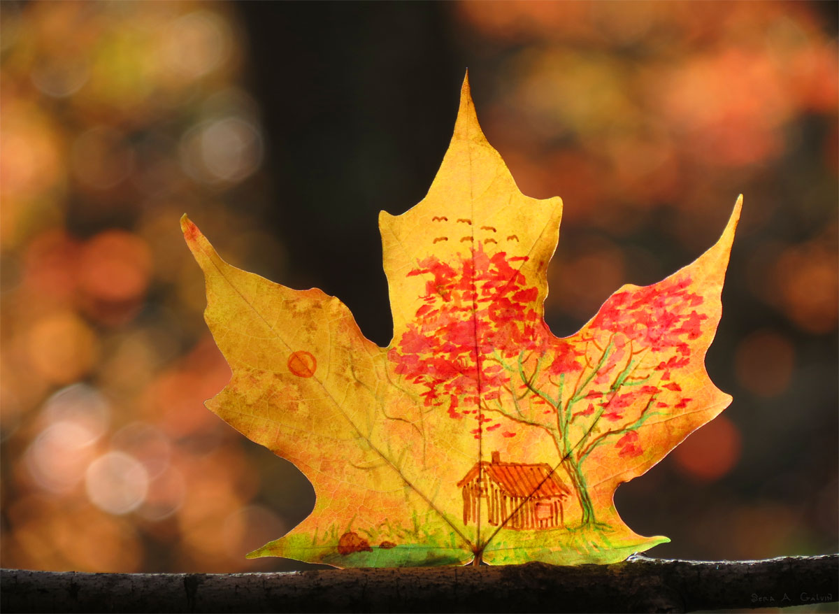 A little cabin beside a red-leaved autumn tree drawn on a golden maple leaf balanced on a branch amid warm bokeh, by Sera Autumn