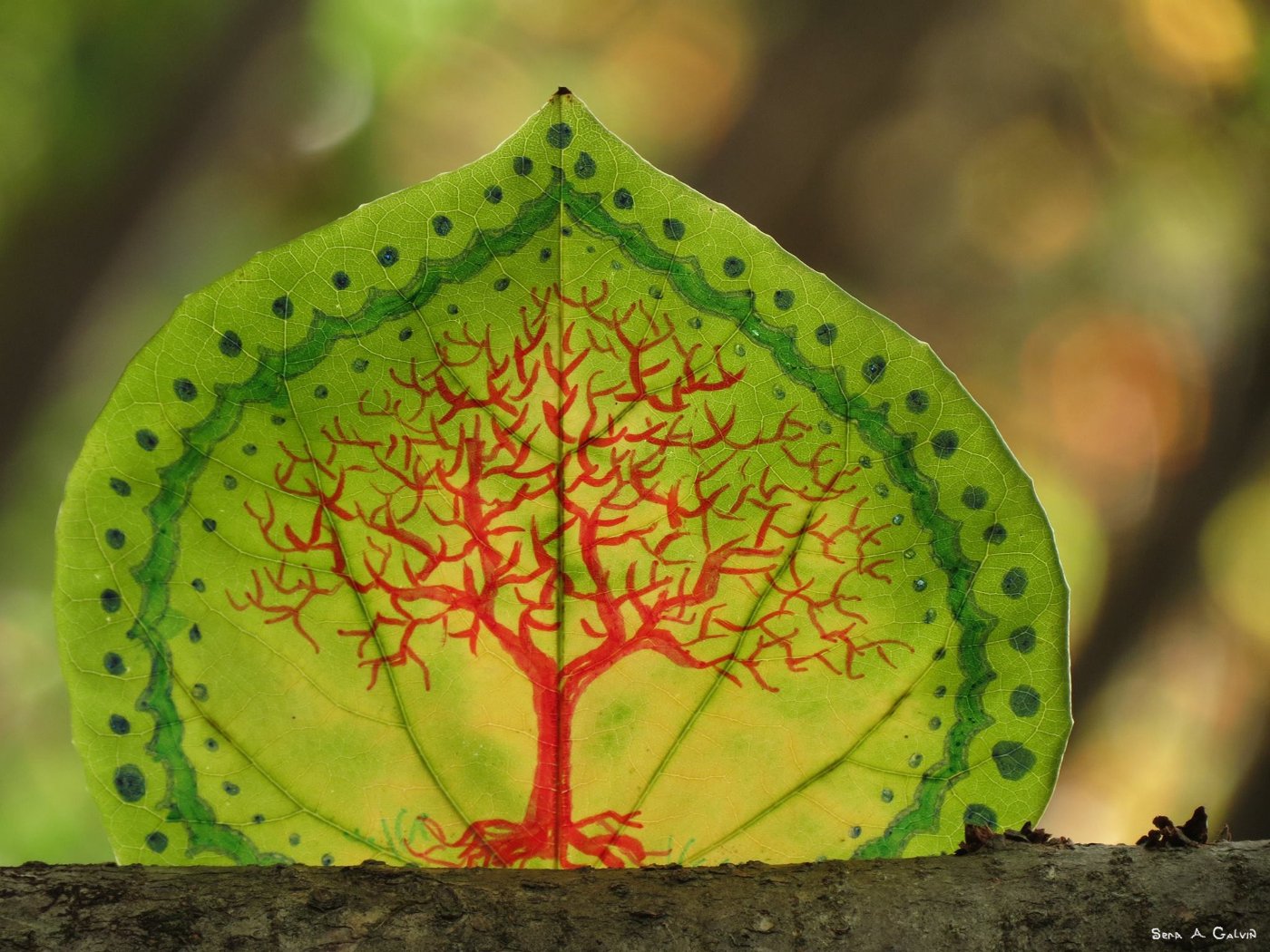 A bare red tree with spreading roots drawn on a green leaf ringed with blue-spotted borders, on a branch, by Sera Autumn