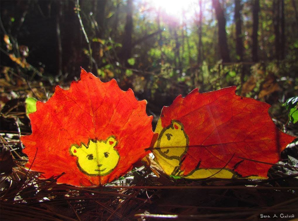Two smiling yellow hedgehog faces drawn on orange-red leaves with spiked edges on the forest floor, sunlight streaming through trees behind, by Sera Autumn