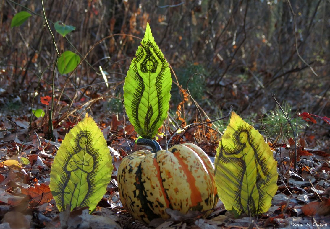 Three ink-drawn figures on green leaves standing around a striped autumn gourd on the forest floor, by Sera Autumn