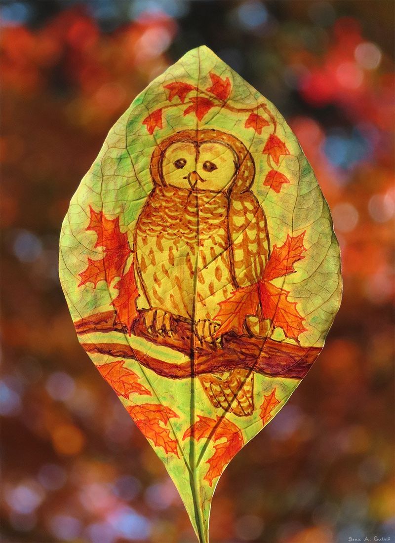 A barred owl perched on a branch amid orange maple leaves, drawn on a green leaf against fiery autumn bokeh, by Sera Autumn