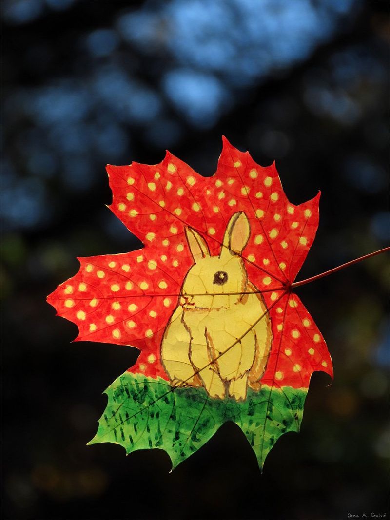 A pale yellow rabbit on green grass drawn on a red polka-dotted maple leaf against blue bokeh, by Sera Autumn