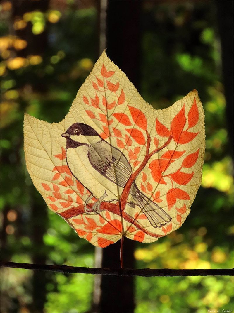 A black-capped chickadee perched on a branch amid orange leaves, drawn on a pale striped maple leaf against sunlit green forest, by Sera Autumn