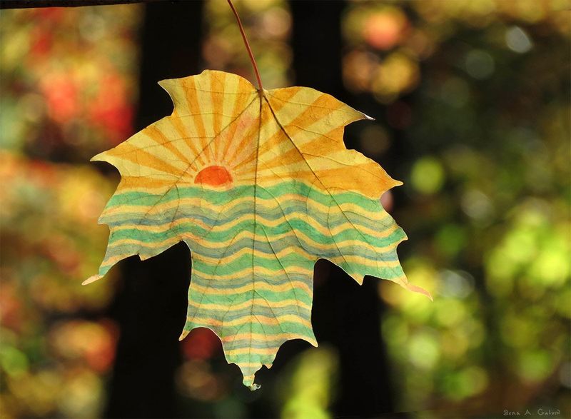 A radiant sun setting over wavy water drawn on a yellow and teal maple leaf, backlit against forest bokeh, by Sera Autumn