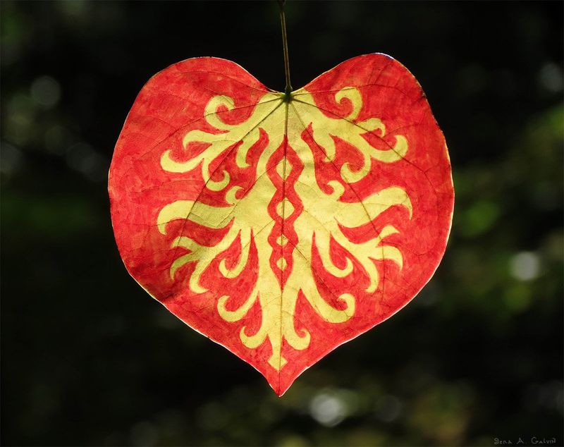 A red heart-shaped leaf drawn with a symmetrical yellow flame-like pattern in a vaguely humanoid shape, backlit against dark green bokeh, by Sera Autumn