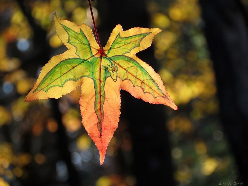 A yellow-and-orange sweetgum leaf drawn with a green winged dragon spreading across its lobes, backlit against golden bokeh, by Sera Autumn