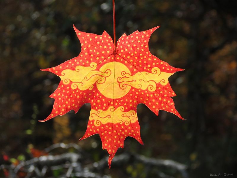 A yellow sun-and-swirling-cloud design at the center of a red maple leaf speckled with yellow dots, backlit against dark forest, by Sera Autumn
