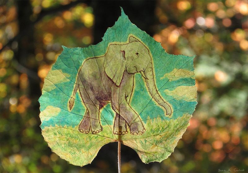 An elephant walking across grass under a teal sky, drawn on a grape leaf against golden autumn bokeh, by Sera Autumn
