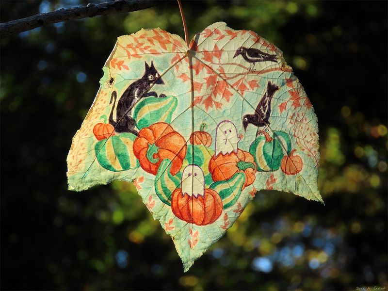 A black cat, crows, ghosts, and orange pumpkins in a Halloween scene drawn on a green and cream maple leaf, backlit against dark forest bokeh, by Sera Autumn