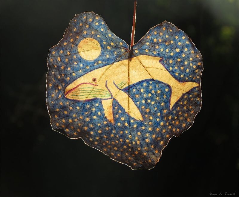 A pale humpback whale swimming under a full moon in a starry night sky, drawn on a blue heart-shaped grape leaf backlit against darkness, by Sera Autumn