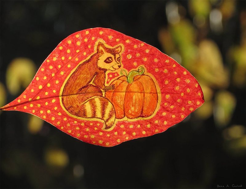 A drawn raccoon with an orange pumpkin on a red yellow-polka-dotted leaf against dark bokeh, by Sera Autumn