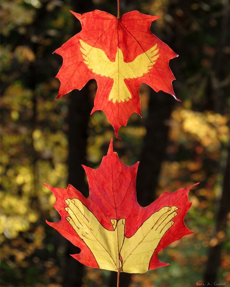 Two red maple leaves, one with a yellow flying dove and one with cupped yellow hands posed as if having just released it, over forest bokeh, by Sera Autumn