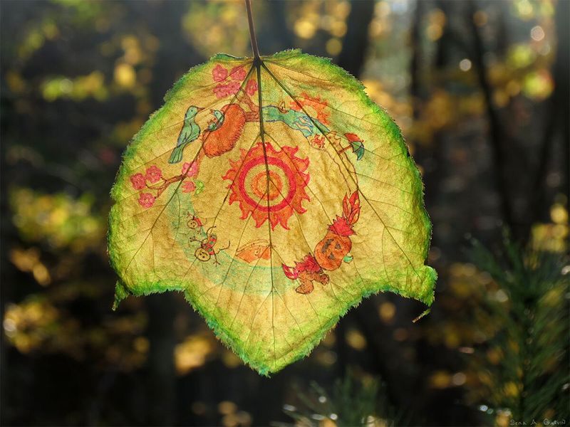 Four-seasons wheel of birds, blossoms, sun and jack-o'-lantern drawn around a green backlit leaf in the forest, by Sera Autumn