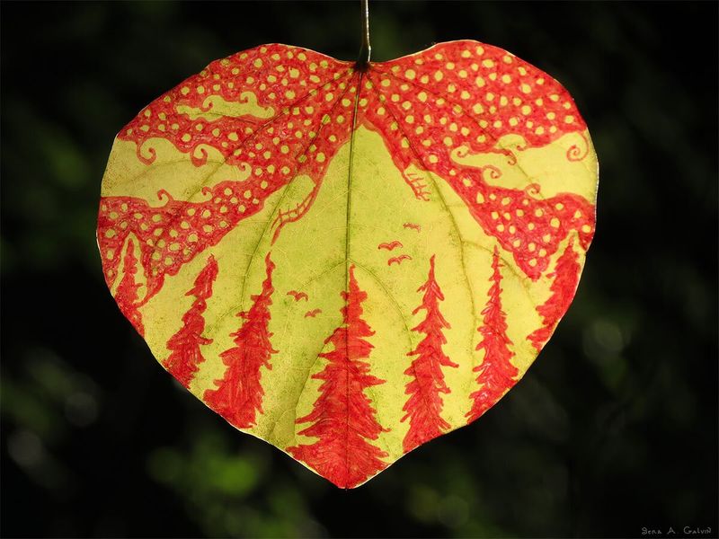 Red pine-forest and mountain landscape with birds drawn on a heart-shaped green redbud leaf, backlit on black, by Sera Autumn