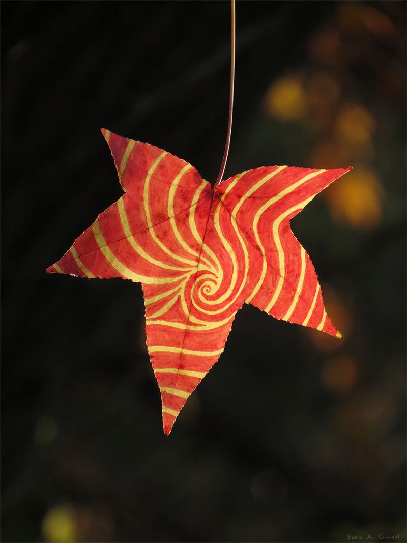A red sweetgum star-shaped leaf drawn with a yellow hypnotic spiral and radiating stripes, hanging against dark bokeh, by Sera Autumn