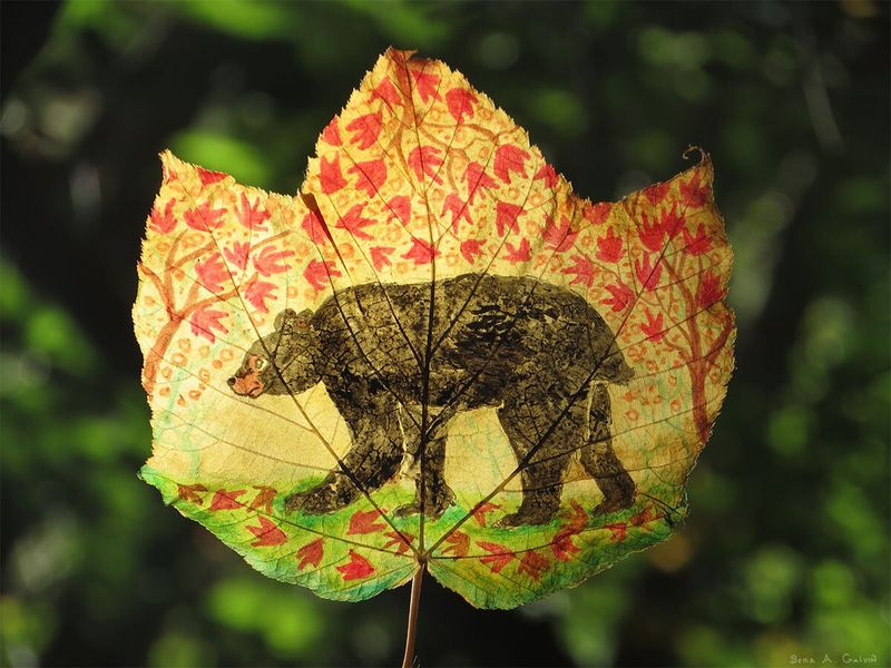 A dark walking bear drawn amid red leaf-and-vine patterning on a golden backlit grape leaf, green forest behind, by Sera Autumn