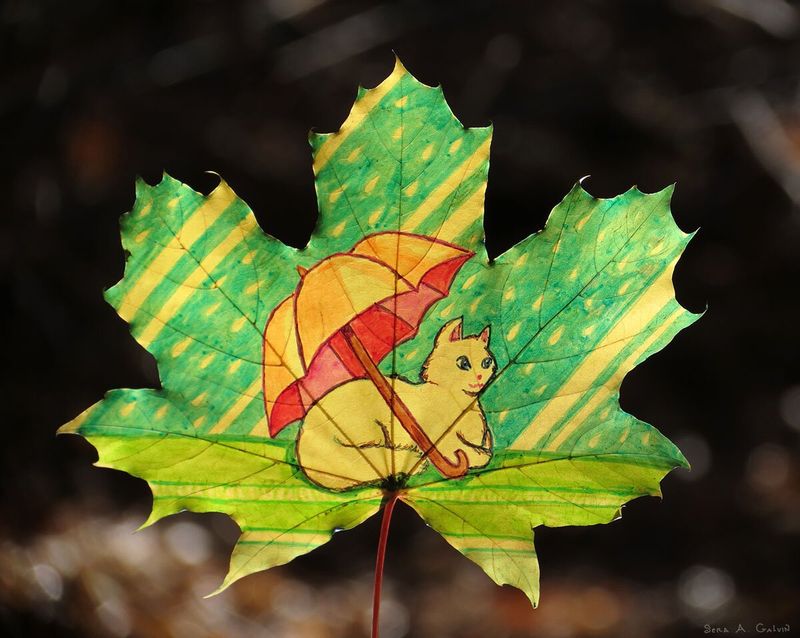 A cream-colored cat sheltering under a red-and-orange umbrella in the rain, drawn on a green-and-yellow maple leaf, by Sera Autumn
