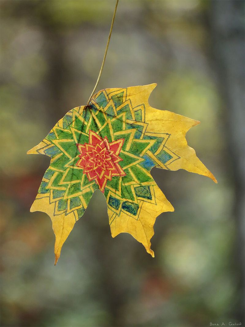 A geometric mandala of a cactus with green, blue, and red concentric star points radiating from a central flower, drawn on a golden maple leaf, by Sera Autumn