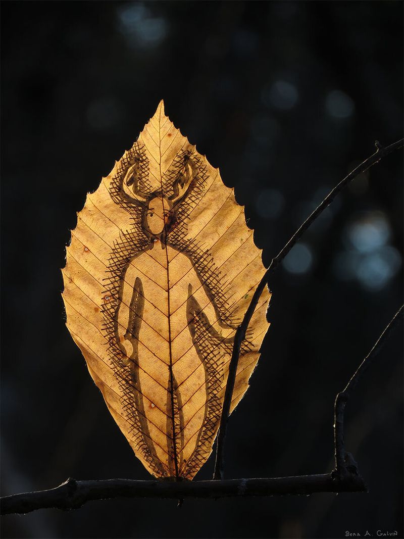 An antlered deer-headed figure standing with hatched shading, drawn on a backlit golden-brown beech leaf resting on a dark twig, by Sera Autumn