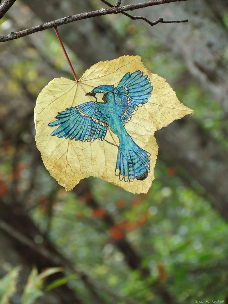 A blue jay in flight with wings and tail fully spread, drawn on a pale hanging striped leaf against blurred autumn forest, by Sera Autumn