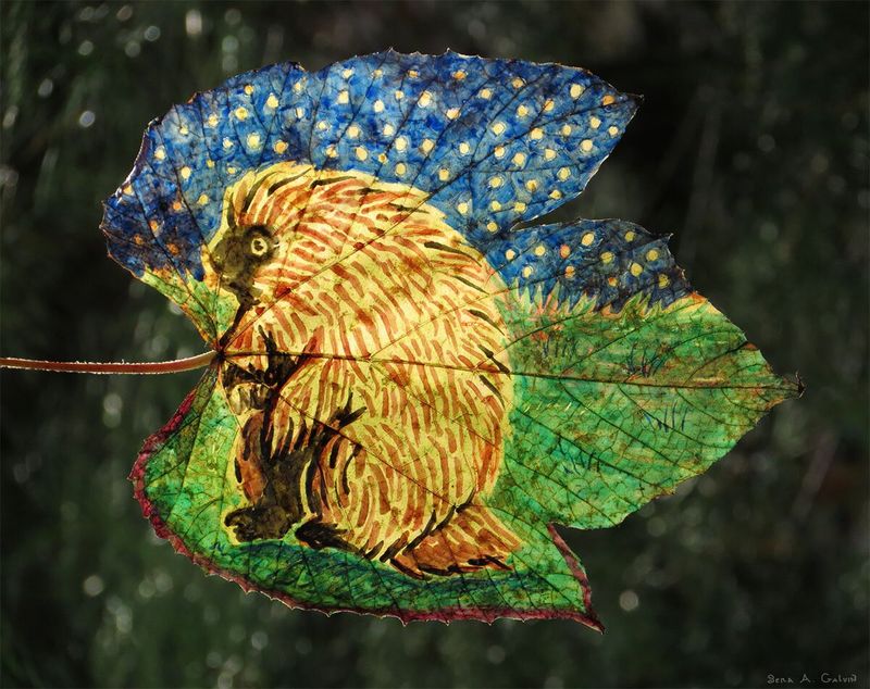 A hunched porcupine drawn with brown-golden quills sits under a starry blue night sky on a striped maple leaf, by Sera Autumn