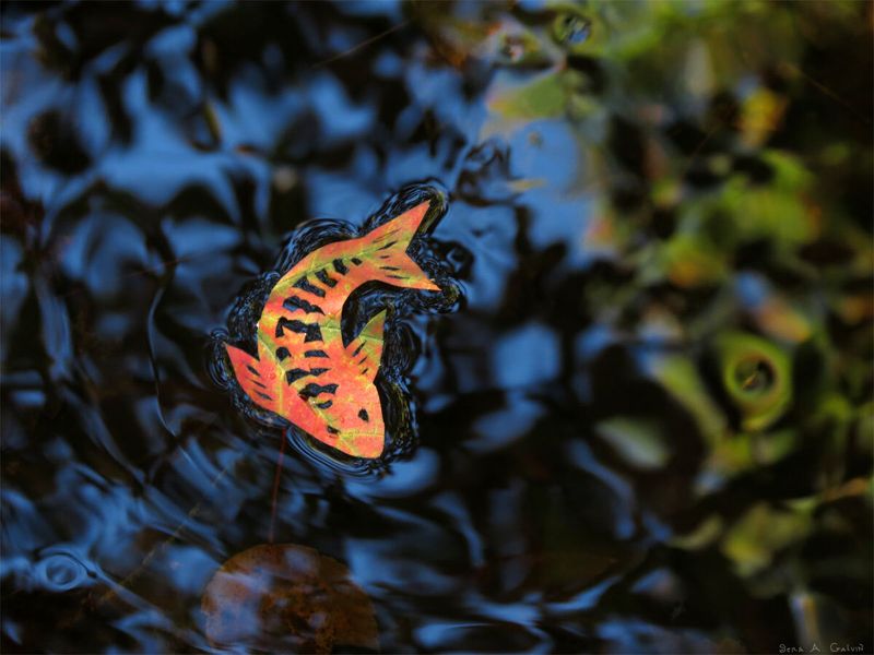 An orange and red koi fish cut from a leaf floats on rippling blue water with green reflections, by Sera Autumn