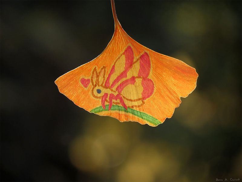 A cute pink-winged moth creature with a tiny heart, drawn on a backlit orange ginkgo leaf, by Sera Autumn