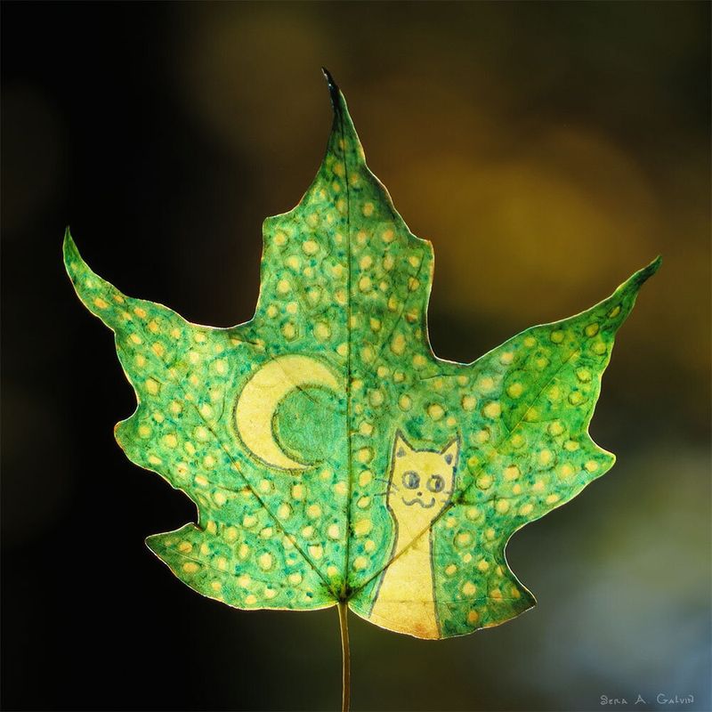 A smiling white cat and yellow crescent moon drawn on a green polka-dotted maple leaf against dark bokeh, by Sera Autumn
