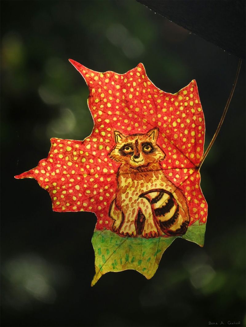 A masked raccoon with ringed tail drawn on a red maple leaf dotted with yellow, against dark forest, by Sera Autumn