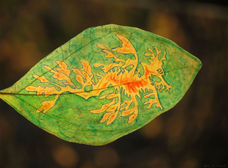 A camouflaged leafy sea dragon drawn in yellow and orange on a green leaf against dark brown bokeh, by Sera Autumn