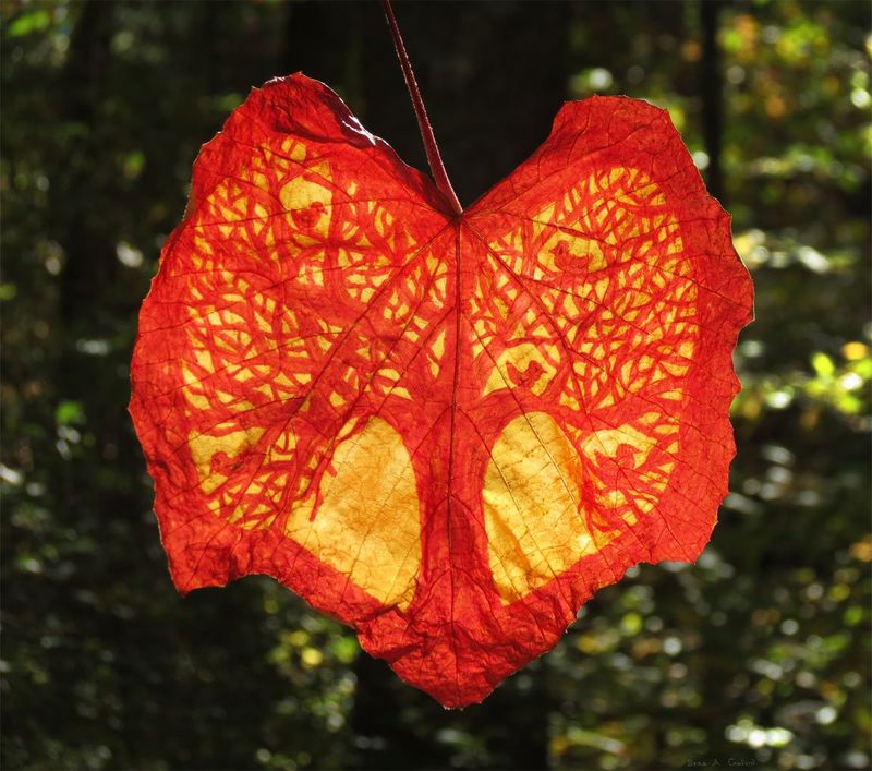 Intricate golden trees with small birds carved and drawn into a red heart-shaped leaf, backlit against green forest, by Sera Autumn