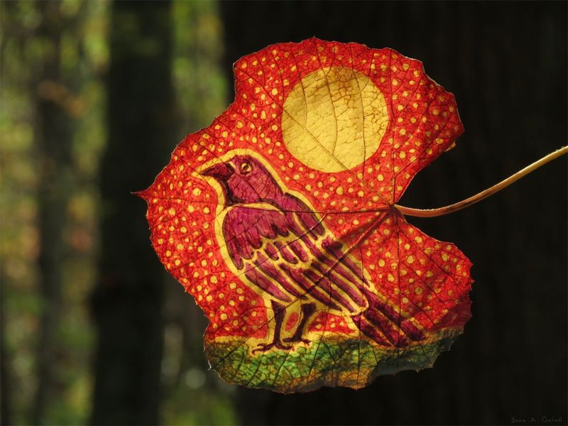 A magenta bird before a pale full moon in a dotted red sky, drawn on a backlit red leaf, by Sera Autumn
