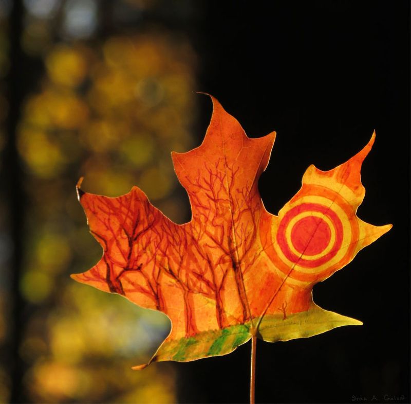Bare silhouetted trees and a red-and-yellow concentric sun drawn on a glowing orange maple leaf, by Sera Autumn