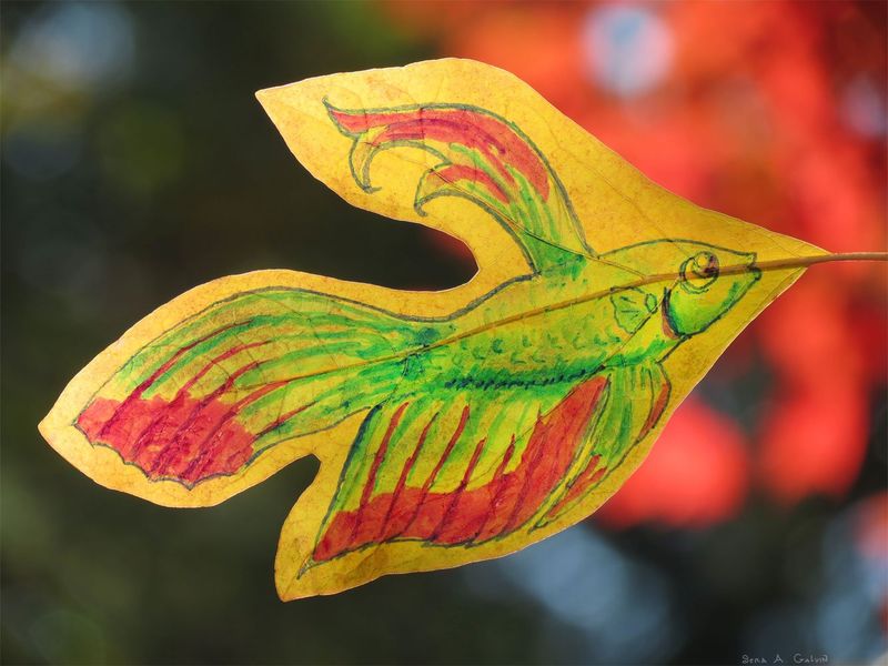 A green-and-red betta fish with flowing fins drawn on a golden leaf against fiery red bokeh, by Sera Autumn