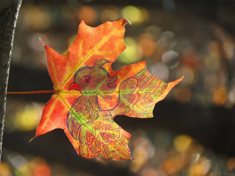 A plumed bird, phoenix-like, drawn in ink on a backlit orange maple leaf glowing against golden forest bokeh, by Sera Autumn