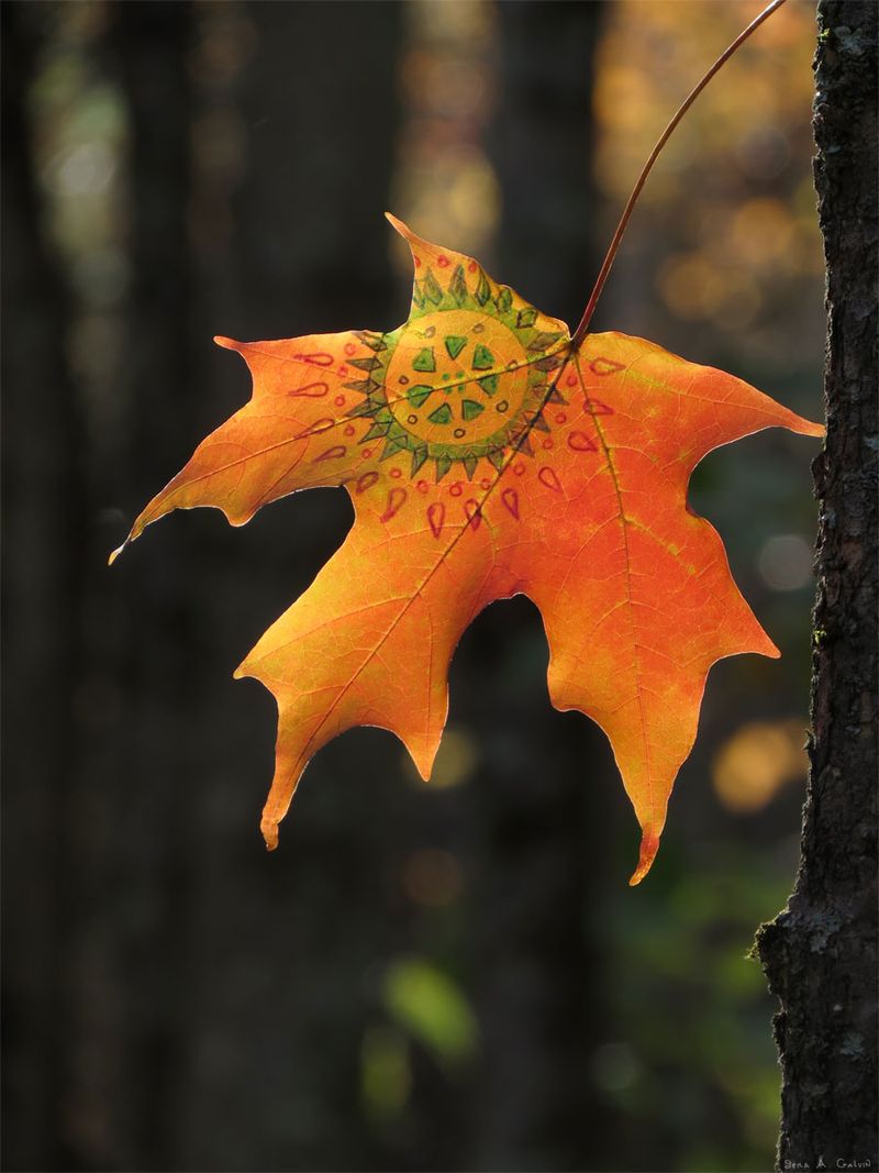 A green and red mandala sun-medallion drawn near the stem of a backlit orange maple leaf against dark forest bokeh, by Sera Autumn