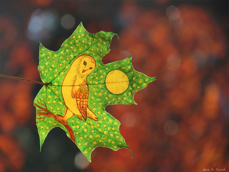 A yellow barn owl perched beside a full moon drawn on a green polka-dotted maple leaf against warm red bokeh, by Sera Autumn