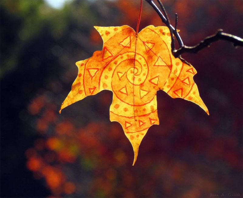 A sun with a spiral and triangles drawn in red on a golden maple leaf, against blurred autumn bokeh, by Sera Autumn