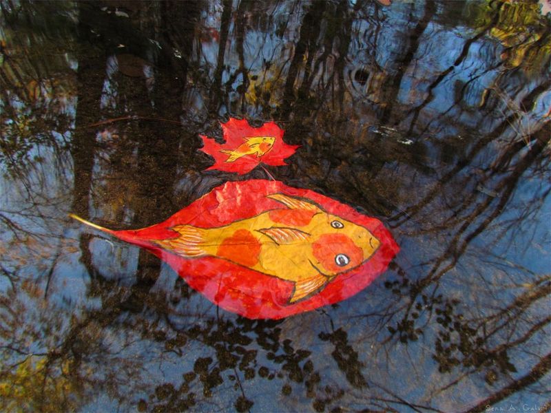 A large orange koi and a smaller fish drawn on red leaves floating on water reflecting bare trees, by Sera Autumn