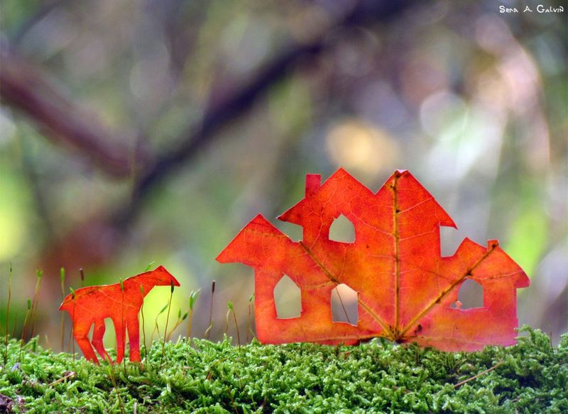 A row of little houses and a small horse intricately cut from red maple leaves, standing on green moss, by Sera Autumn