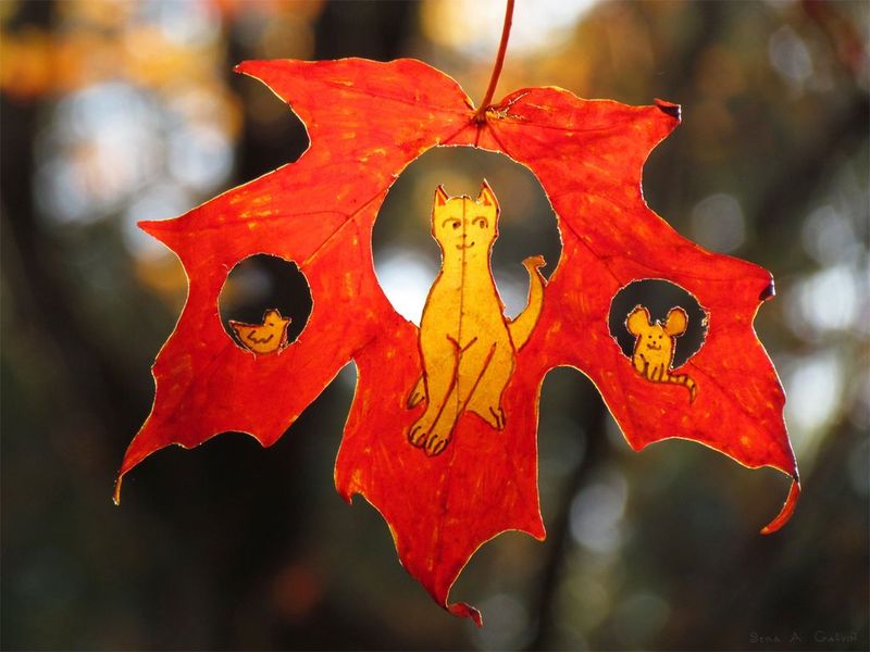 A drawn yellow cat, tiny bird, and grinning mouse peek through cut-out holes in a red maple leaf, backlit by forest bokeh, by Sera Autumn
