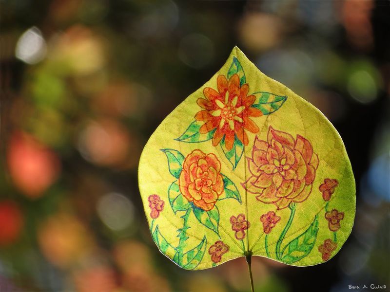 Orange, red, and pink flowers with green stems hand-drawn across a translucent heart-shaped leaf against warm autumn bokeh, by Sera Autumn